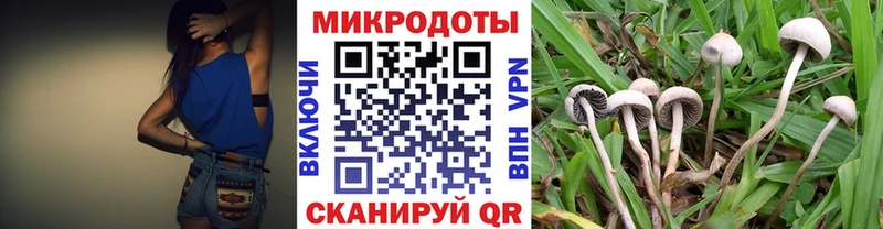 кракен ссылки  Гаврилов-Ям  Псилоцибиновые грибы Magic Shrooms 